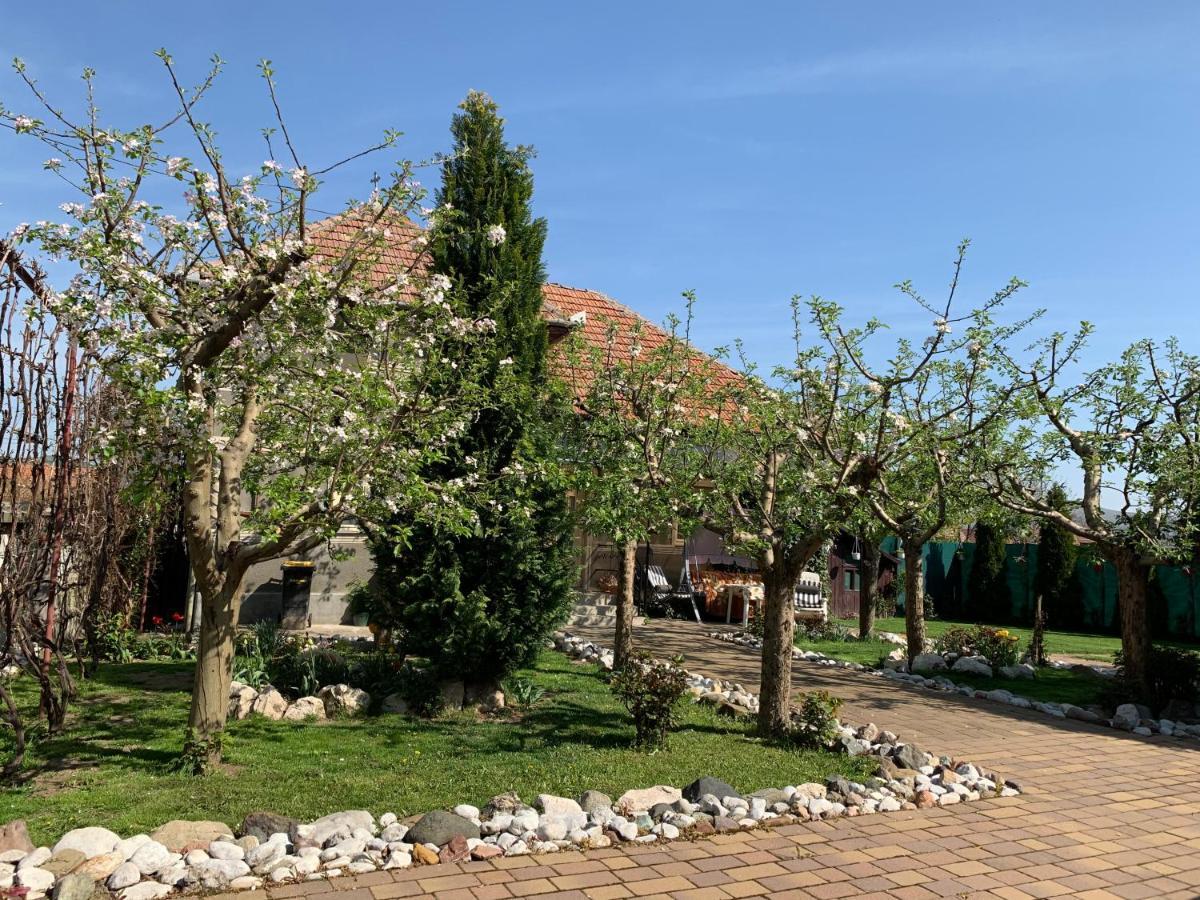 Casa Lui Mosu Villa Alba Iulia Exterior photo